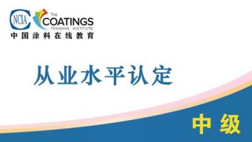 从业水平认定（中级）