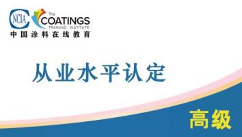 从业水平认定（高级）