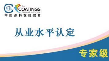 从业水平认定（专家级）