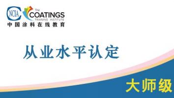 从业水平认定（大师级）